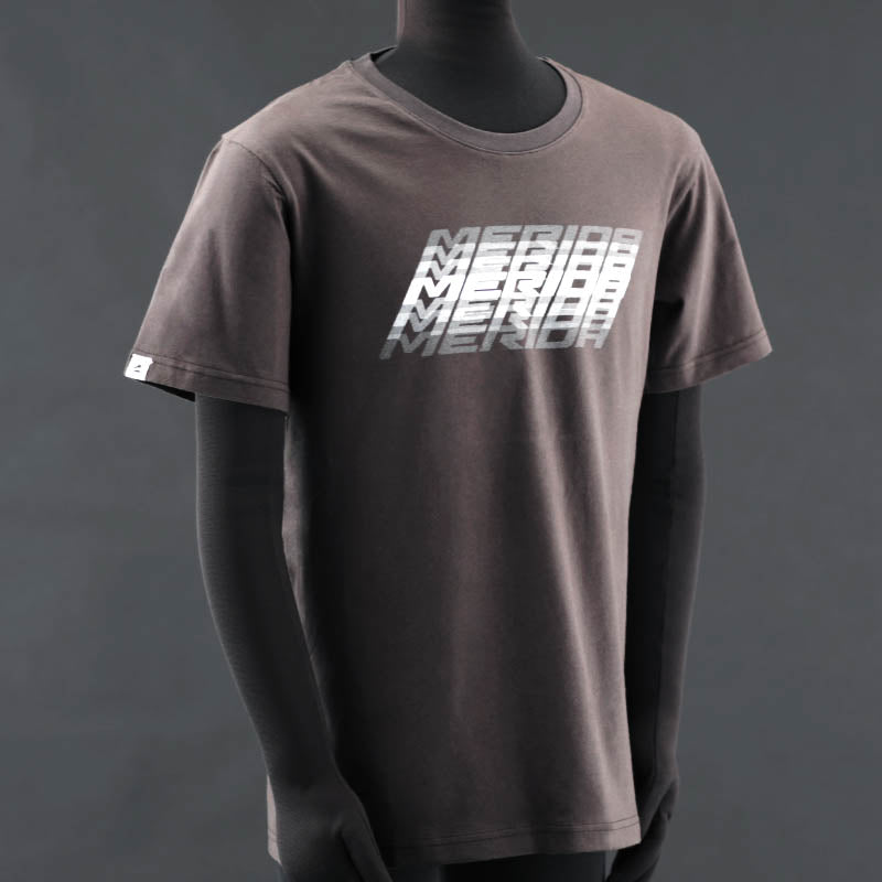 T-SHIRT GRADIENT / CHACOAL
