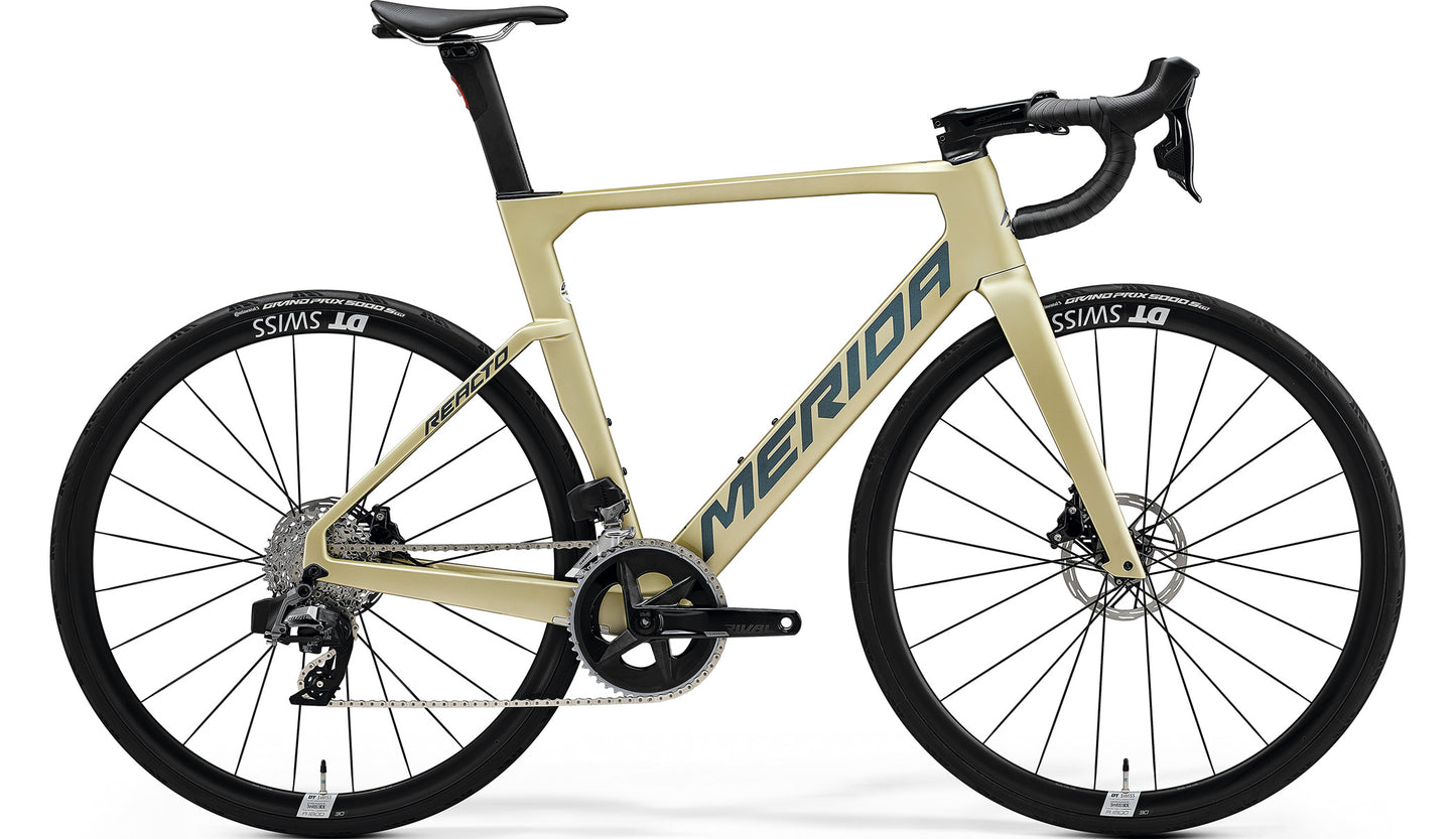 【2024】REACTO RIVAL-EDITION
