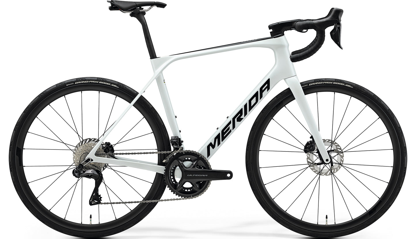 【2025】SCULTURA ENDURANCE 8000