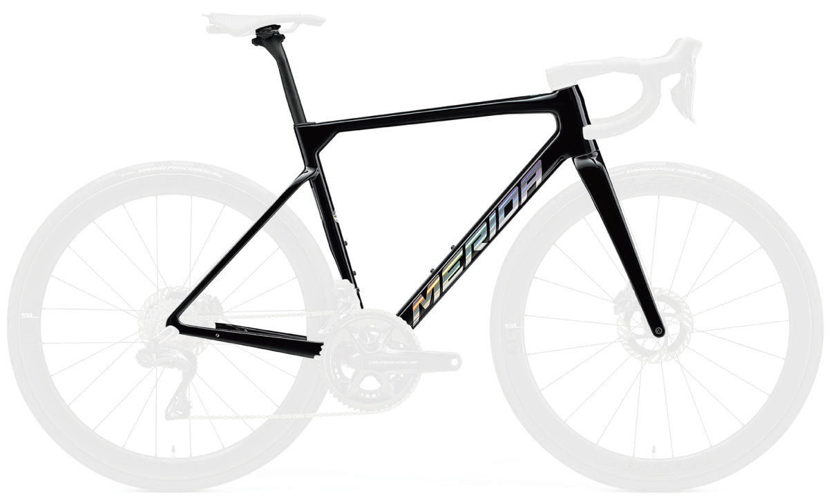 SCULTURA TEAM FRAME SET
