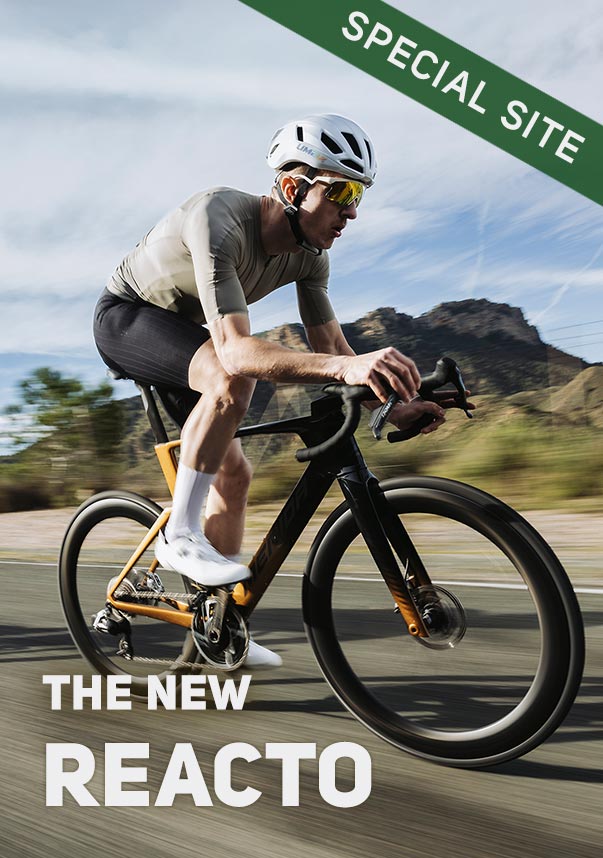 THE NEW REACTO SPECIAL SITE