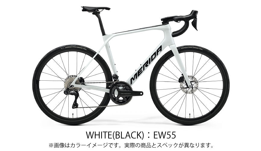 SCULTURA ENDURANCE（スクルトゥーラ エンデュランス）300 LIMITED