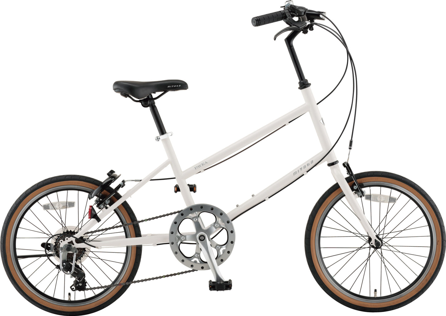 【3月1日発売】パビア