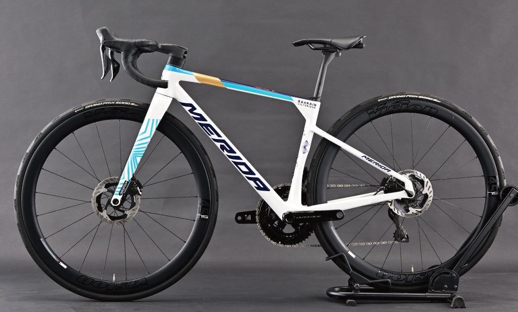 【状態ランクA】 ❘ 【M399】SCULTURA TEAM ❘ 41cm(3S)