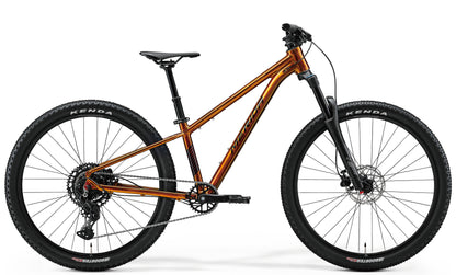 MATTS J.CHAMPION
