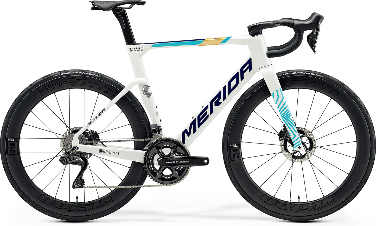 【2025】REACTO TEAM