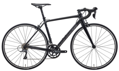 SCULTURA RIM 100