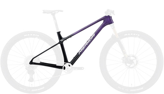 BIG.NINE 10K FRAME SET