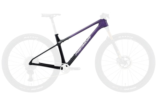 BIG.NINE 10K FRAME SET