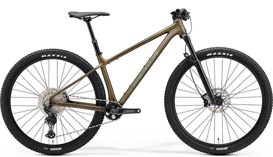 【2024】BIG.NINE TR LIMITED