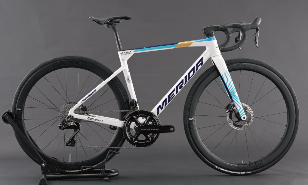 【状態ランクA】 ❘ 【M405】SCULTURA TEAM ❘ 46cm(XS)