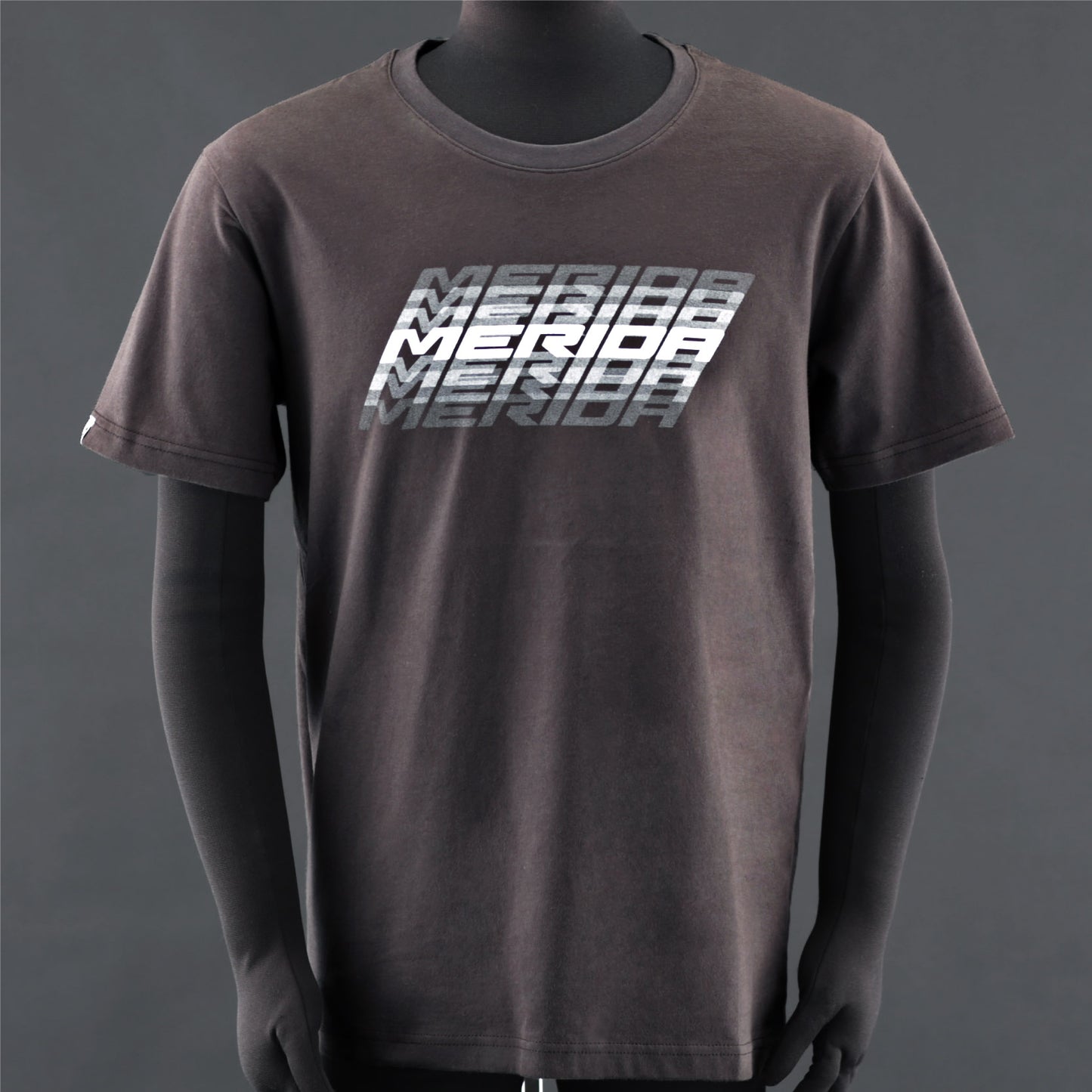 T-SHIRT GRADIENT / CHACOAL