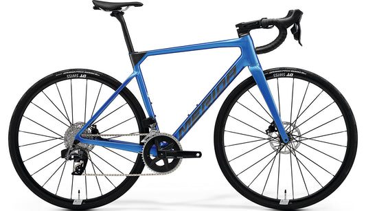 【2024】SCULTURA RIVAL-EDITION