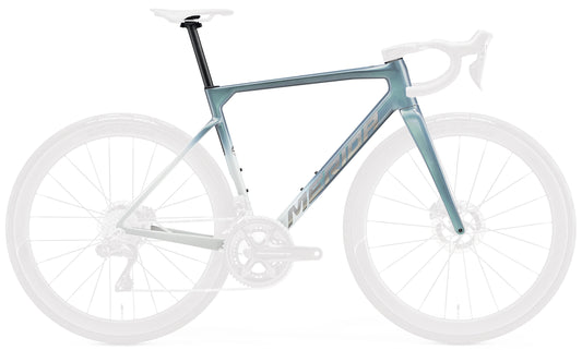 SCULTURA TEAM FRAME SET